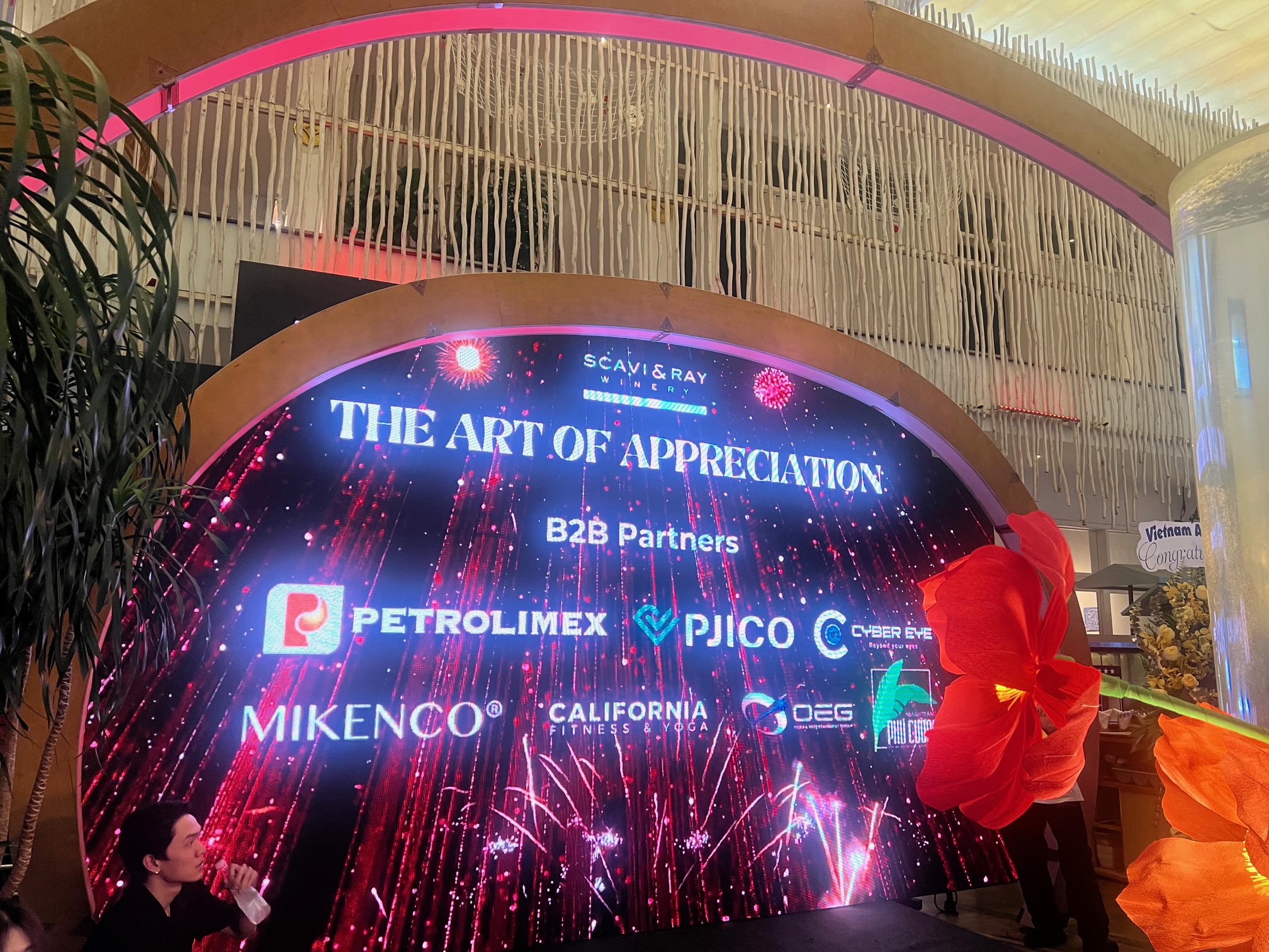 Scavi&Ray Việt Nam